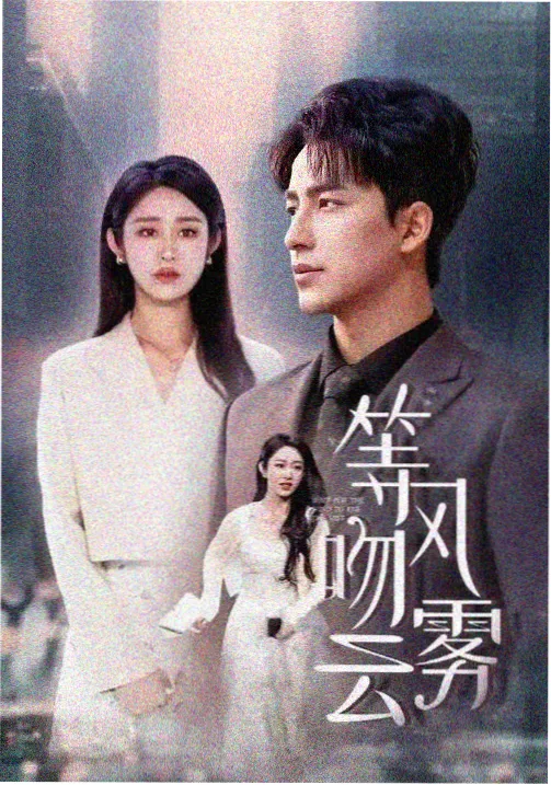 厨房与拥抱婚姻生活剧作品卡封面